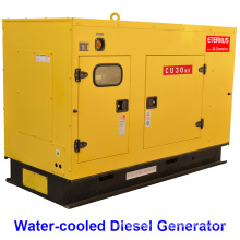 Engine Driven Generator 40kw Diesel (BU30KS)